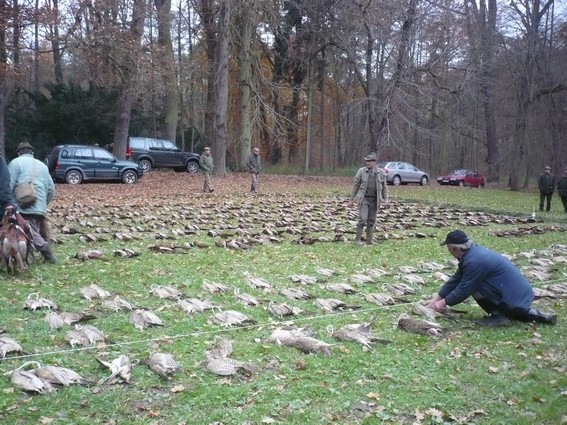 Konopiste_8.11.2009 (17).JPG